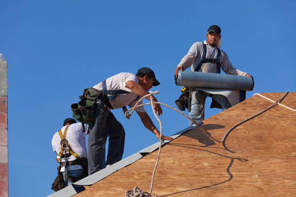 Best Roof Leak Repair  in Carlyle, IL