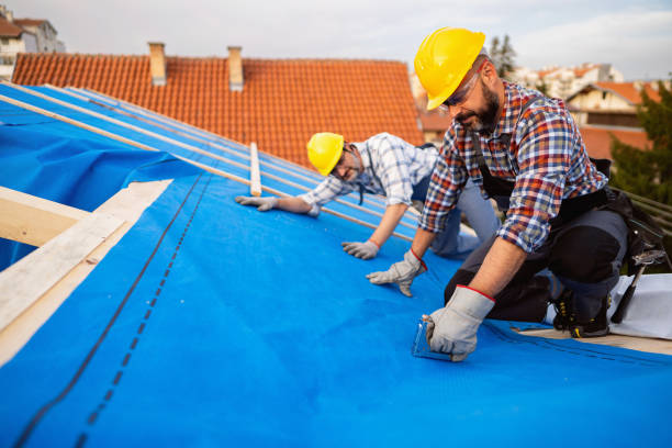 Best Roof Maintenance Services  in Carlyle, IL