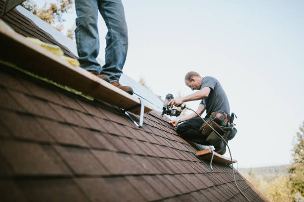 Best Roof Gutter Cleaning  in Carlyle, IL